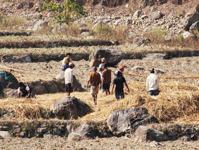 Lesser Himalaya  |  Traditional farming