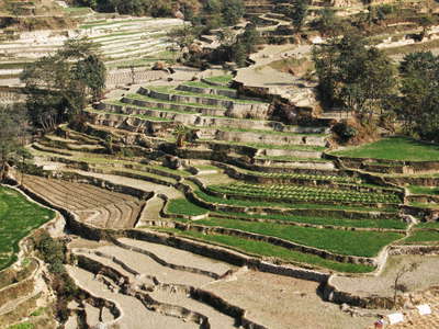 Lesser Himalaya  |  Terraced farmland