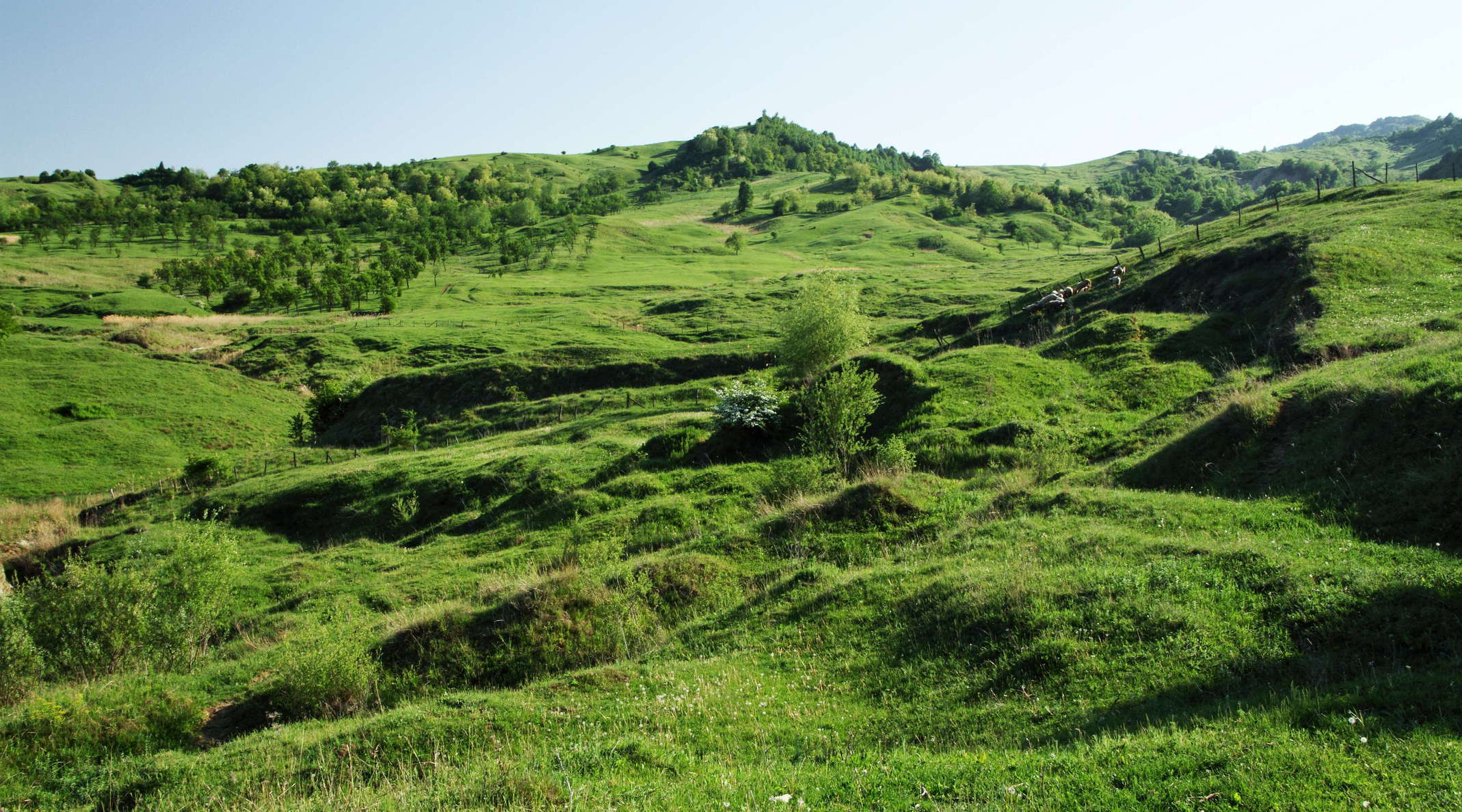 Mușcel  |  Landslides