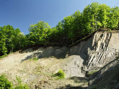 Chirlești  |  Source area of earth flow