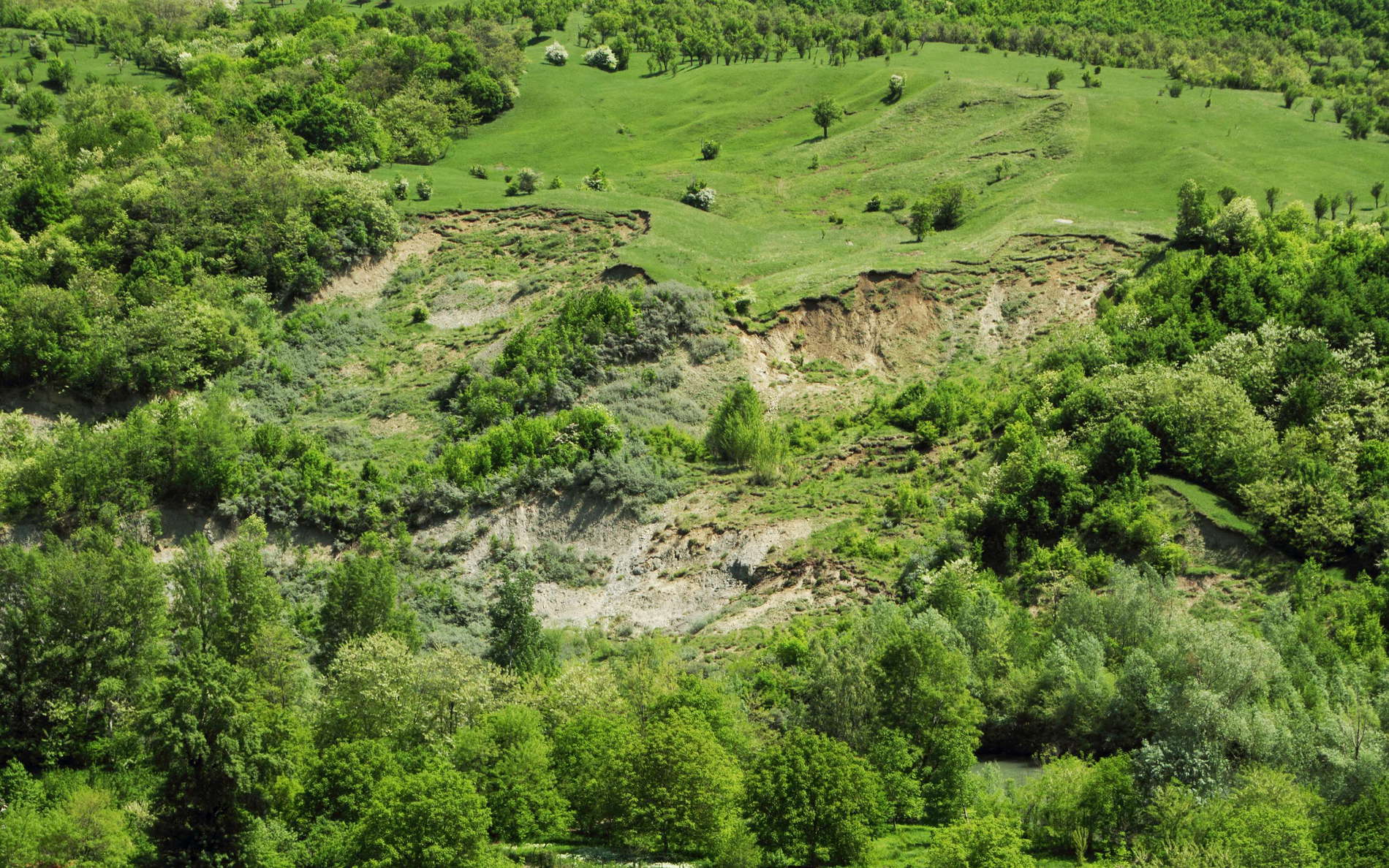 Păltineni  |  Secondary landslides