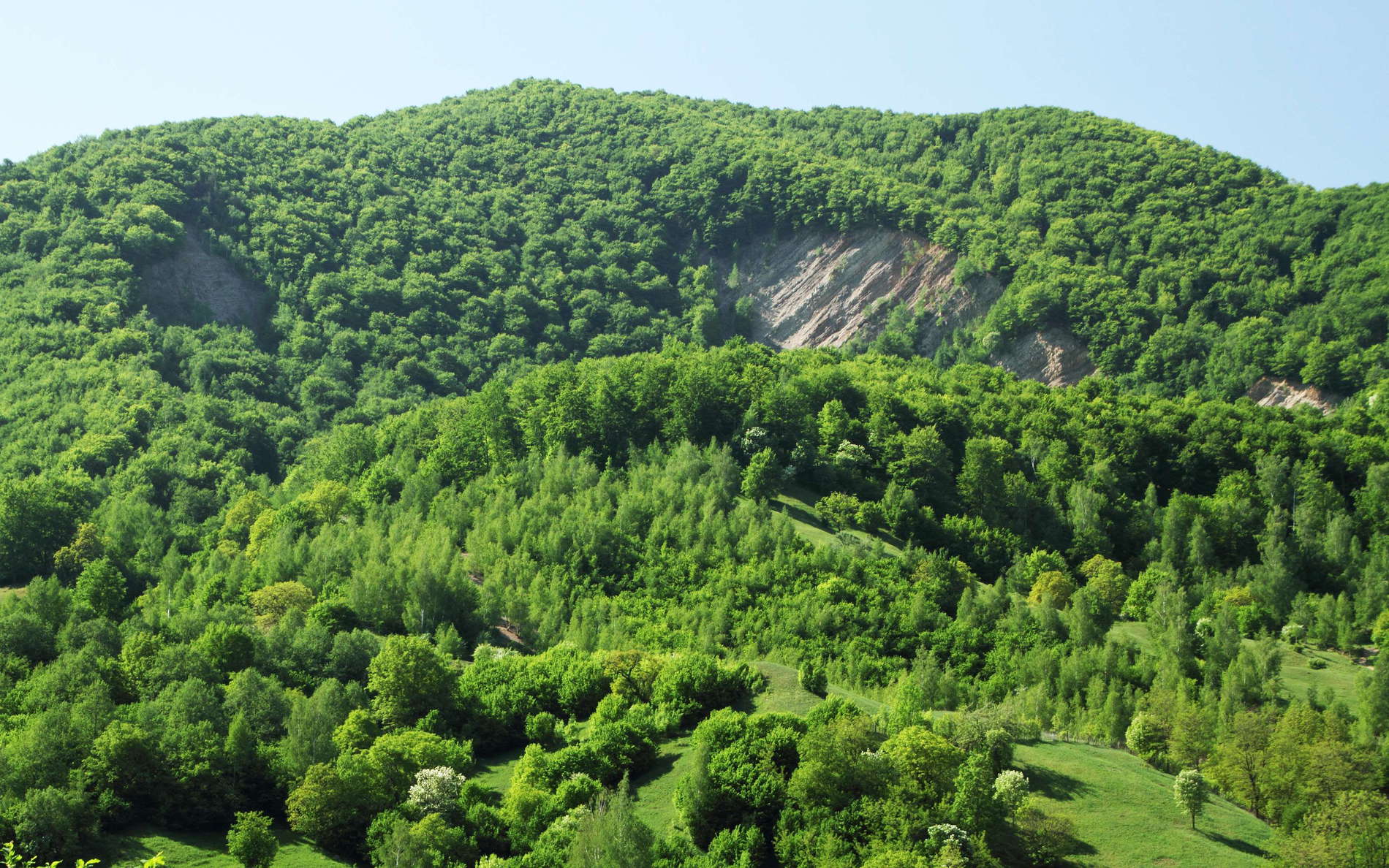 Balta  |  Rock slide scarp and deposit