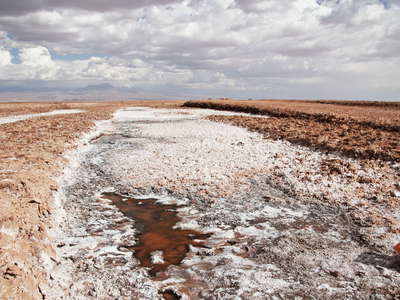Salar de Atacama  |  Channel near Laguna Tebinquinche