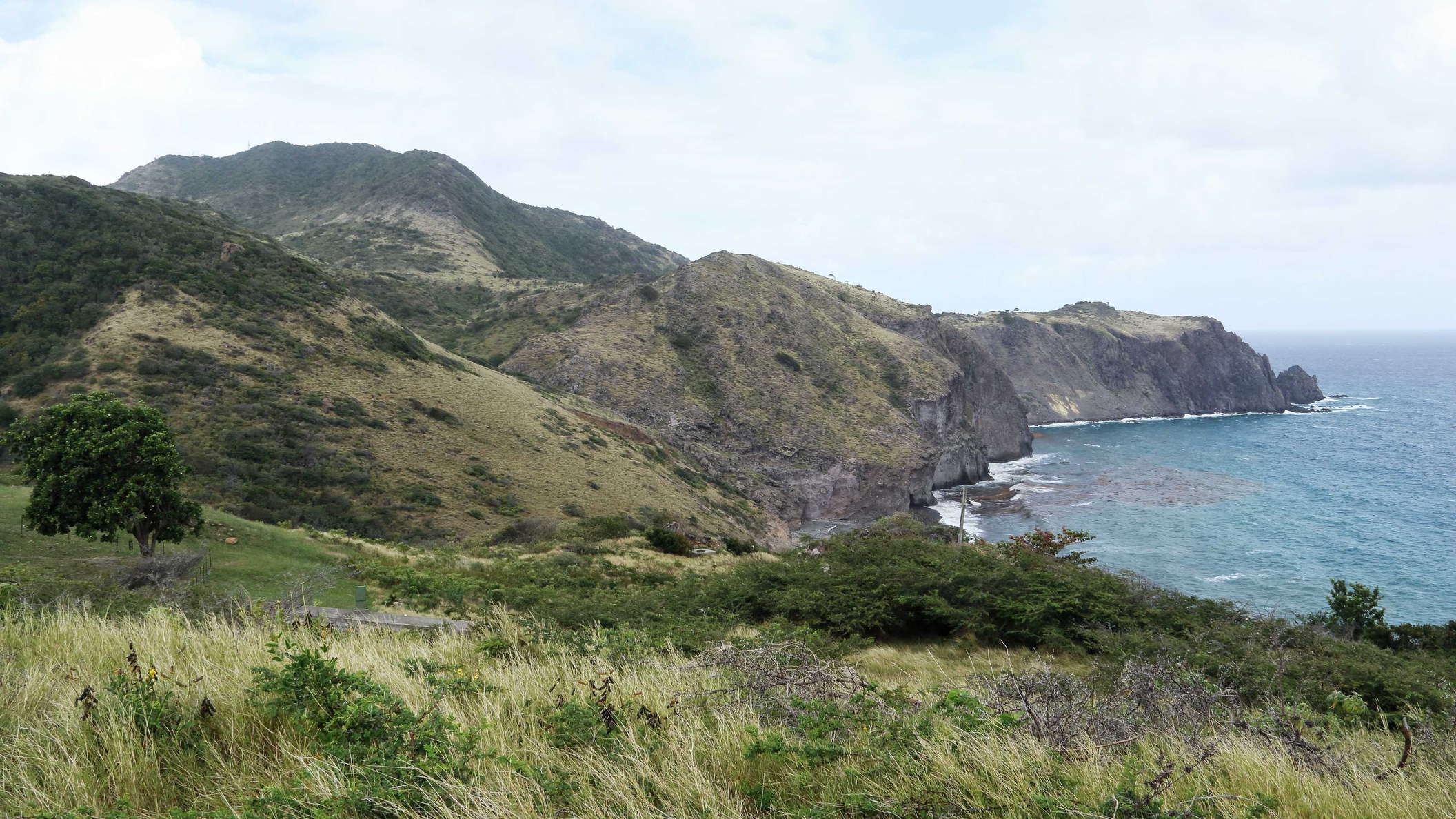 Marguerita Bay