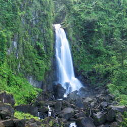 Dominica