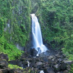 Lesser Antilles | Dominica