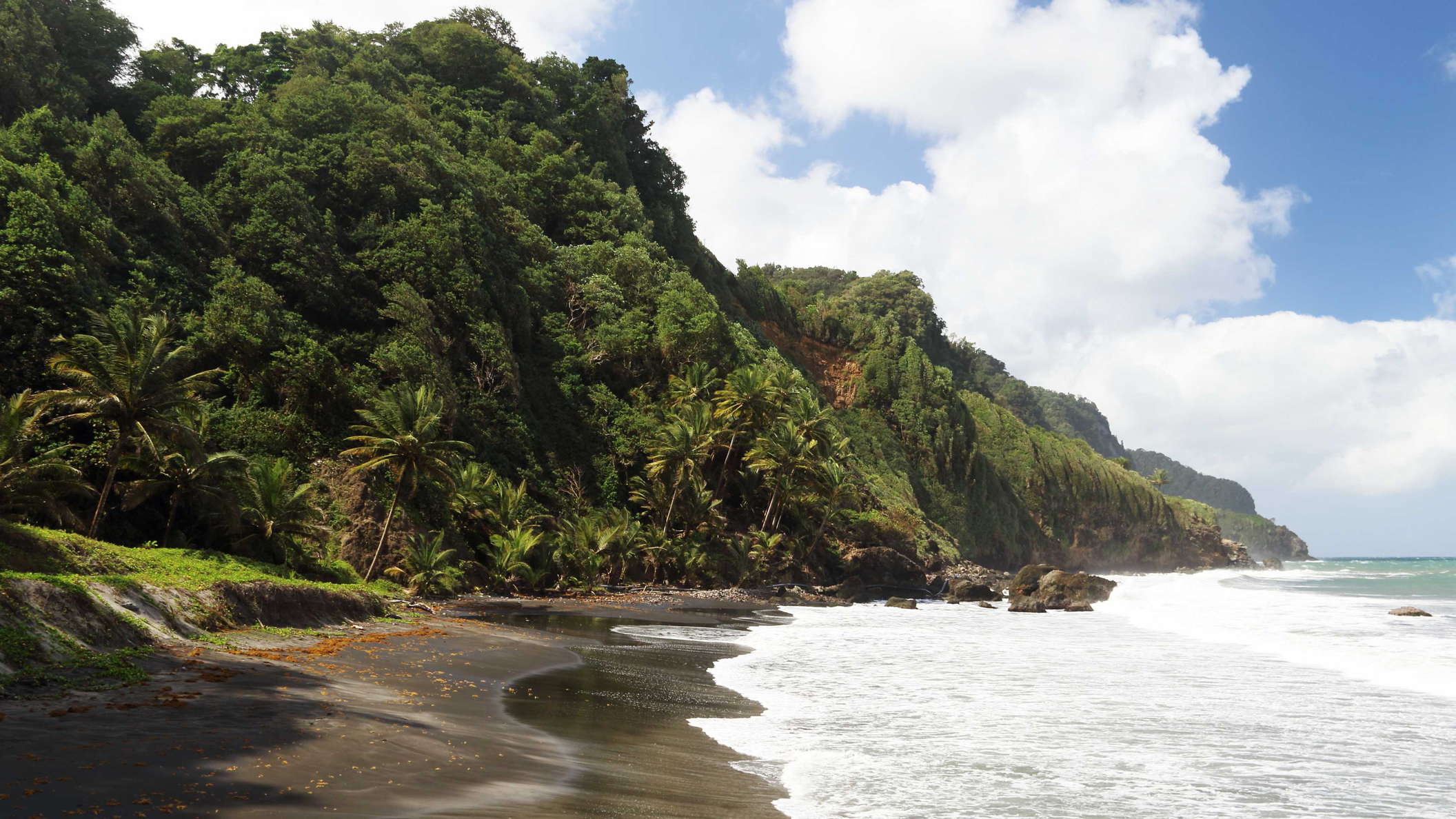 This beach, perched between the rough sea and the northern slopes of Montagne Pelée, forms the eastern end of the uninhabited north coast of Martinique. This area is only developed by a footpath connecting the village of Grand'Rivière to the area of Le Prêcheur farther west. WI_la747.jpg