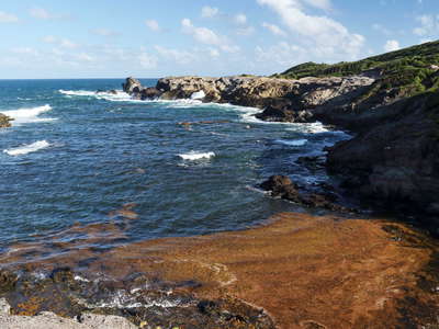 La Caravelle Peninsula | Rocky bay with Sargassum seaweed