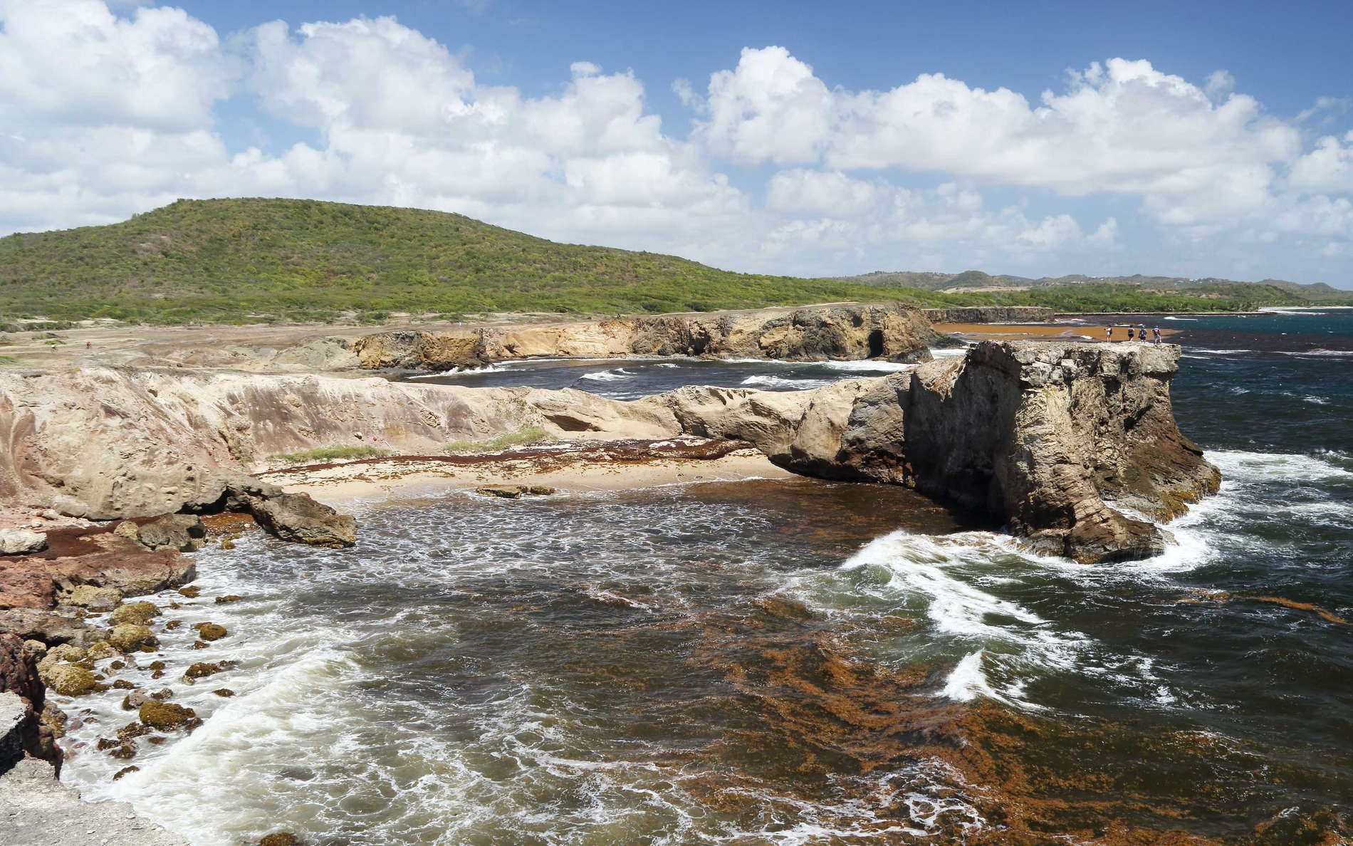 Savane des Pétrifications | Trou des Sardines