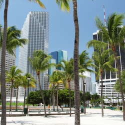 USA | Florida