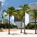 Miami | Bayfront Park and CBD