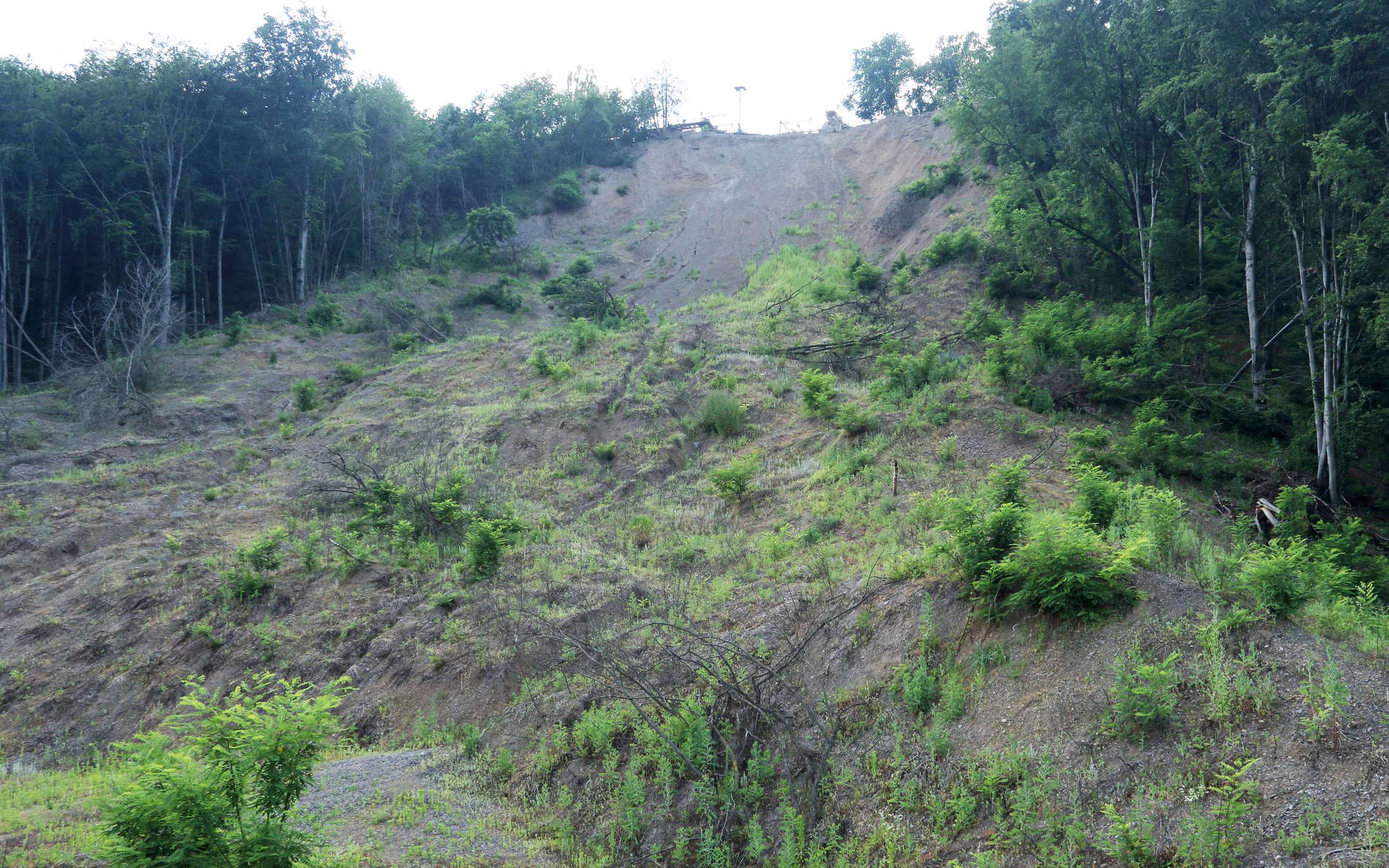 Kolchyno | Landslide