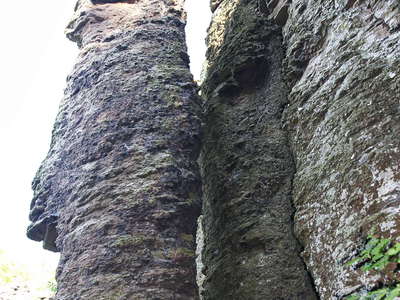 Szent György-hegy | Basalt columns