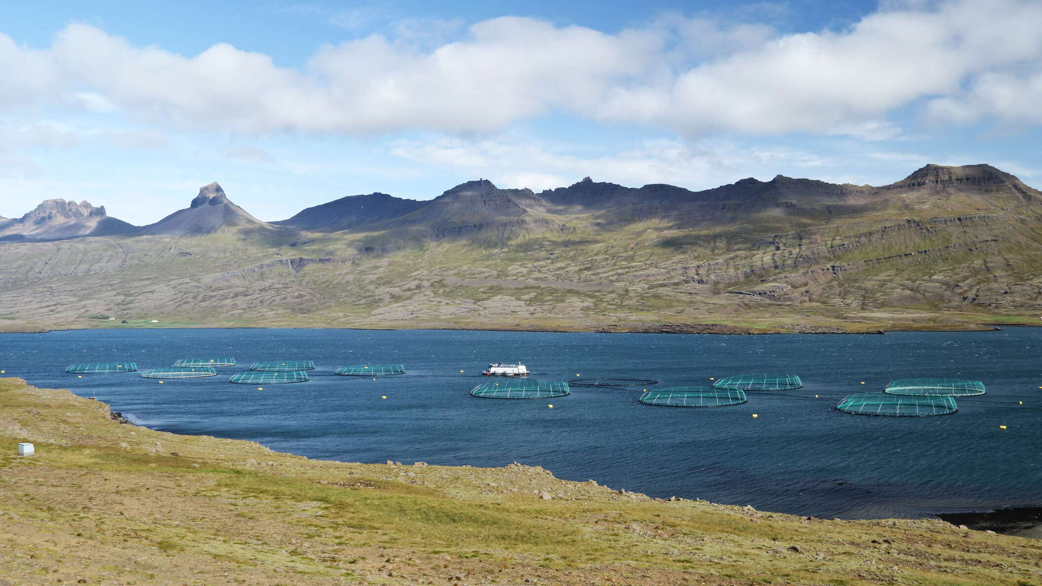 View from the Ring Road across Berufjörður. Fish farming is a common industry in the Eastfjords. WI_is134.jpg