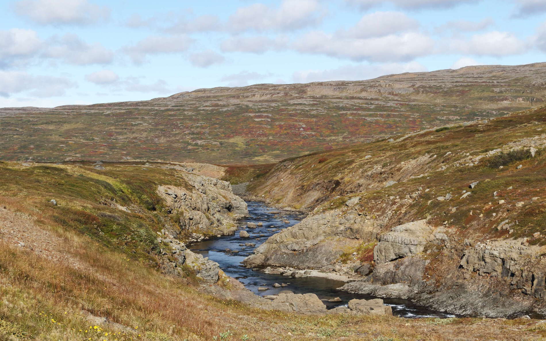 Steingrímsfjarðarheiði