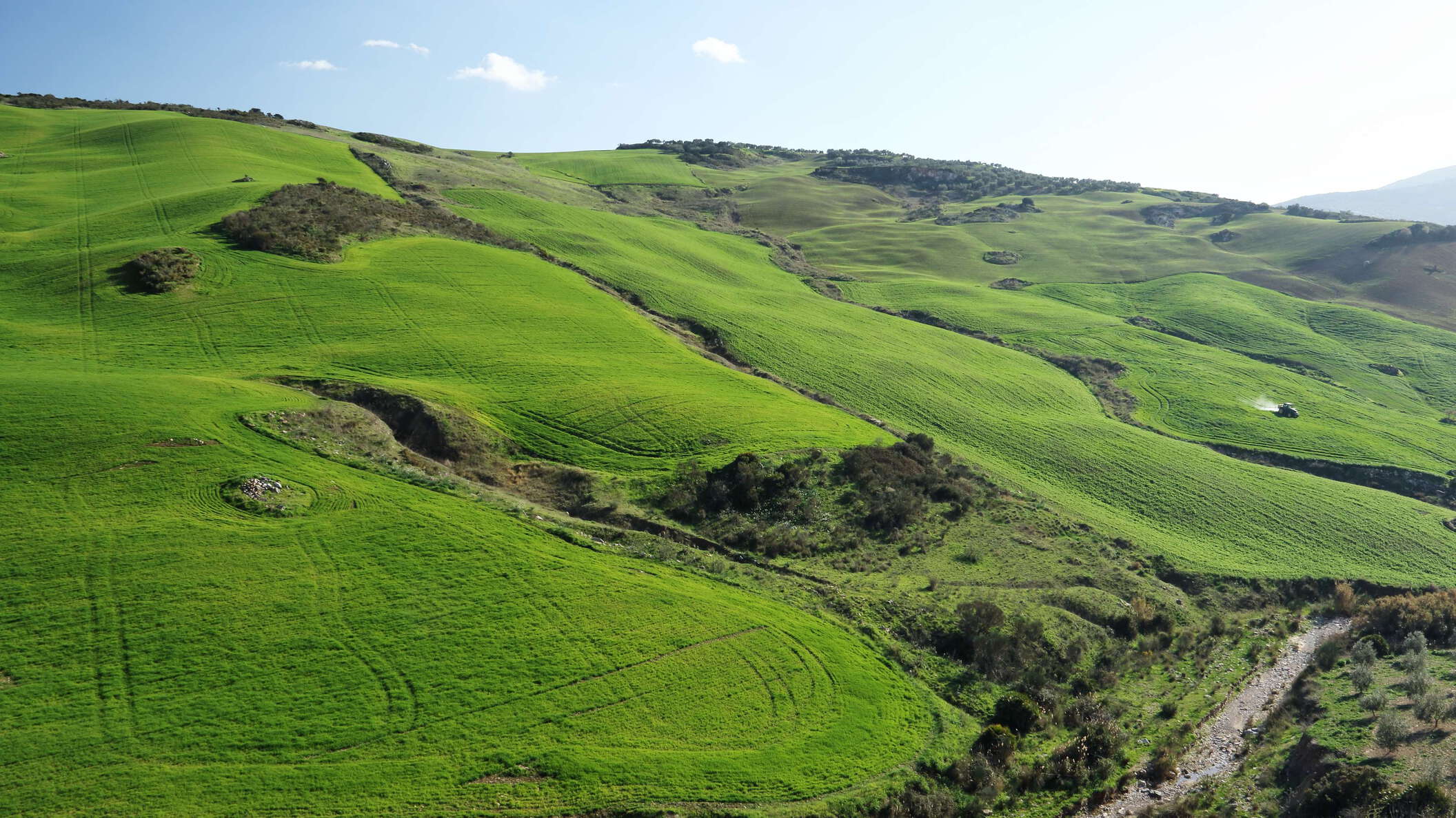 Valle de Abdalajís | Rural landscape