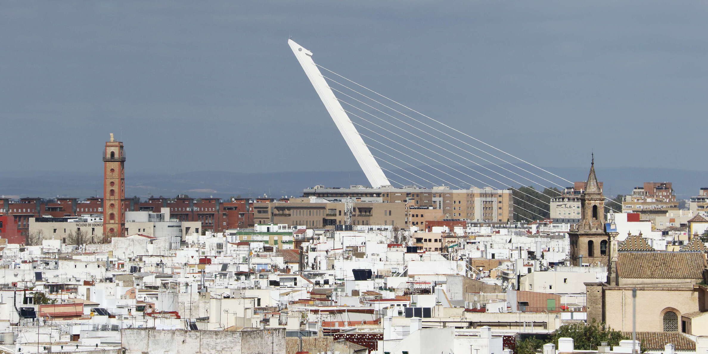 Sevilla | Puente del Alamillo