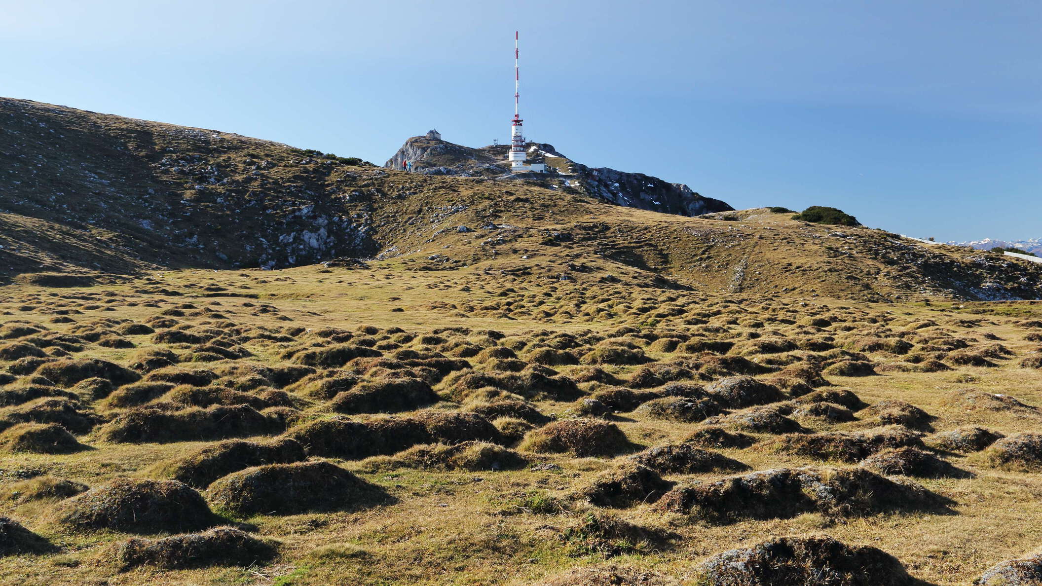 Dobratsch | Humpback meadow and summit area