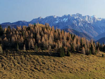 Dobratsch | Humpback meadow and mountain forest