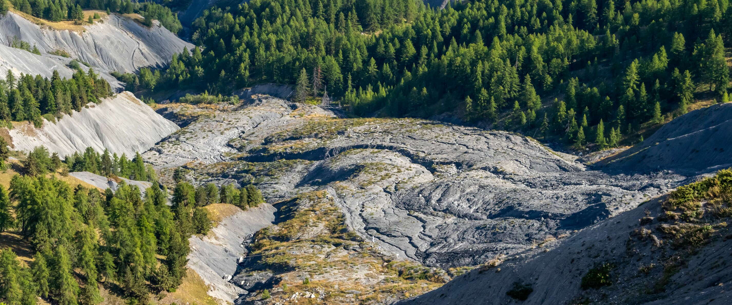 Super-Sauze Landslide