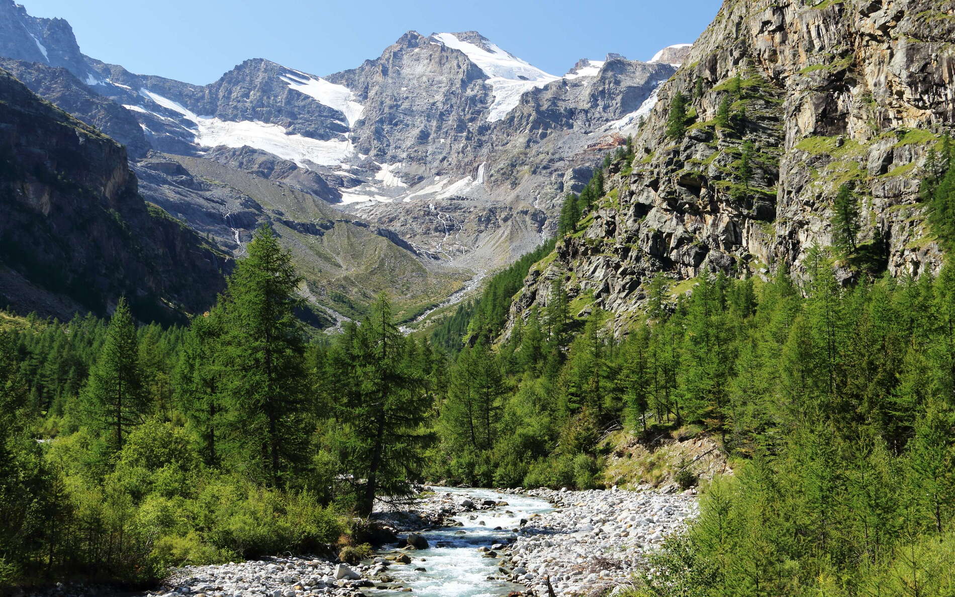 Gran Paradiso NP, view up the Valnontey in S direction to the Testa della Tribolazione (3642 m). The forest in the valley is dominated by the European larch (Larix decidua). WI_e2048_520.jpg