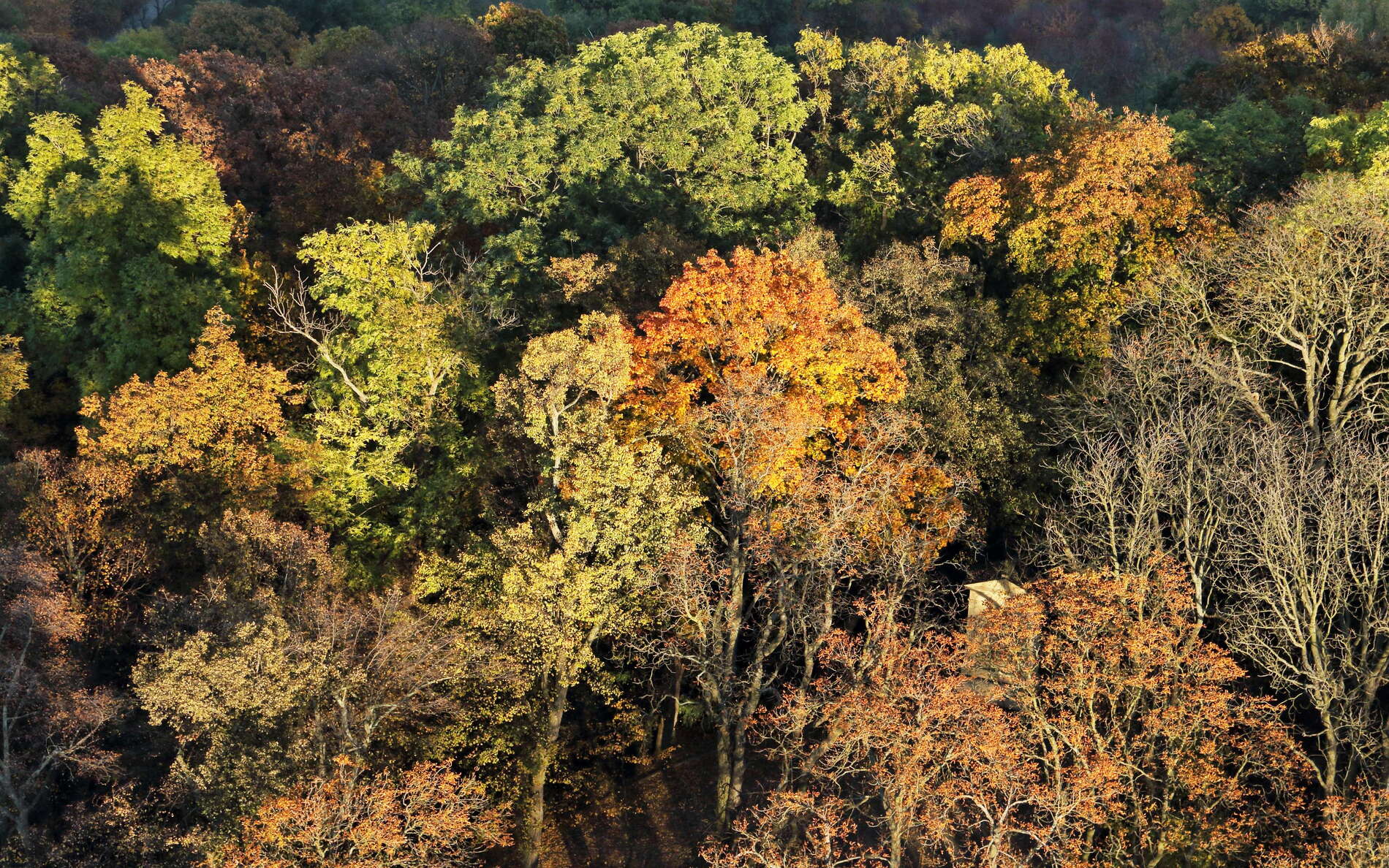 Praha | Autumn colours at Petřín Hill