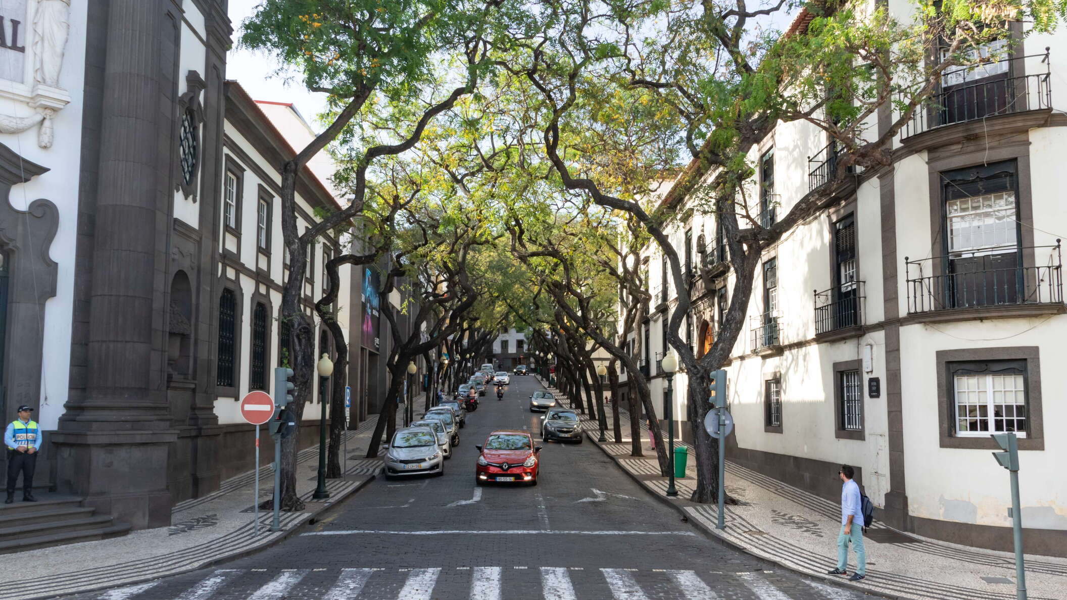 Funchal | Avenida Zarco