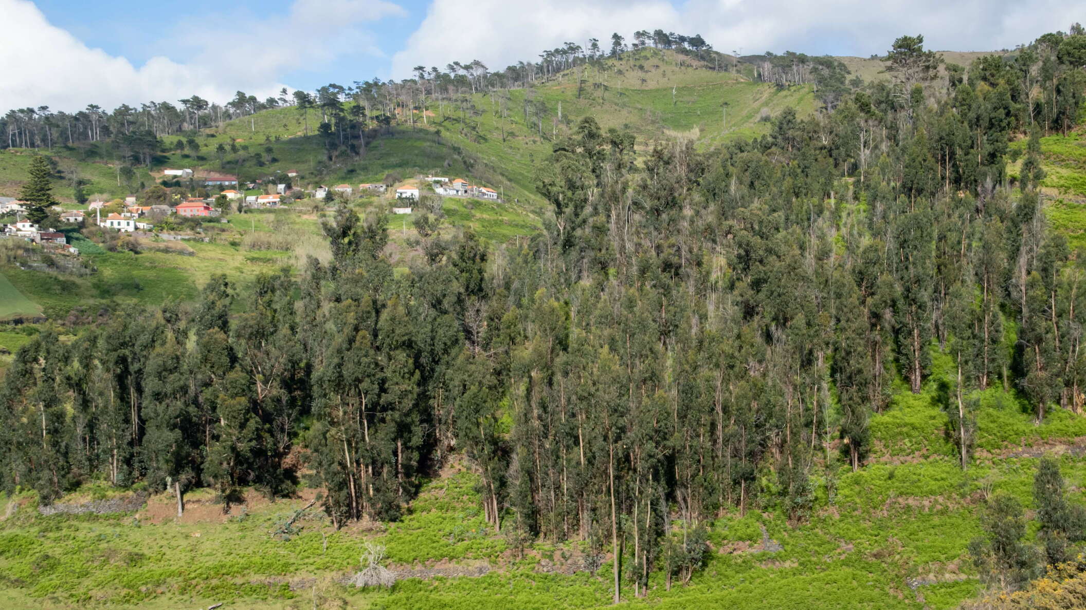 Ribeira da Vaca | Rural landscape