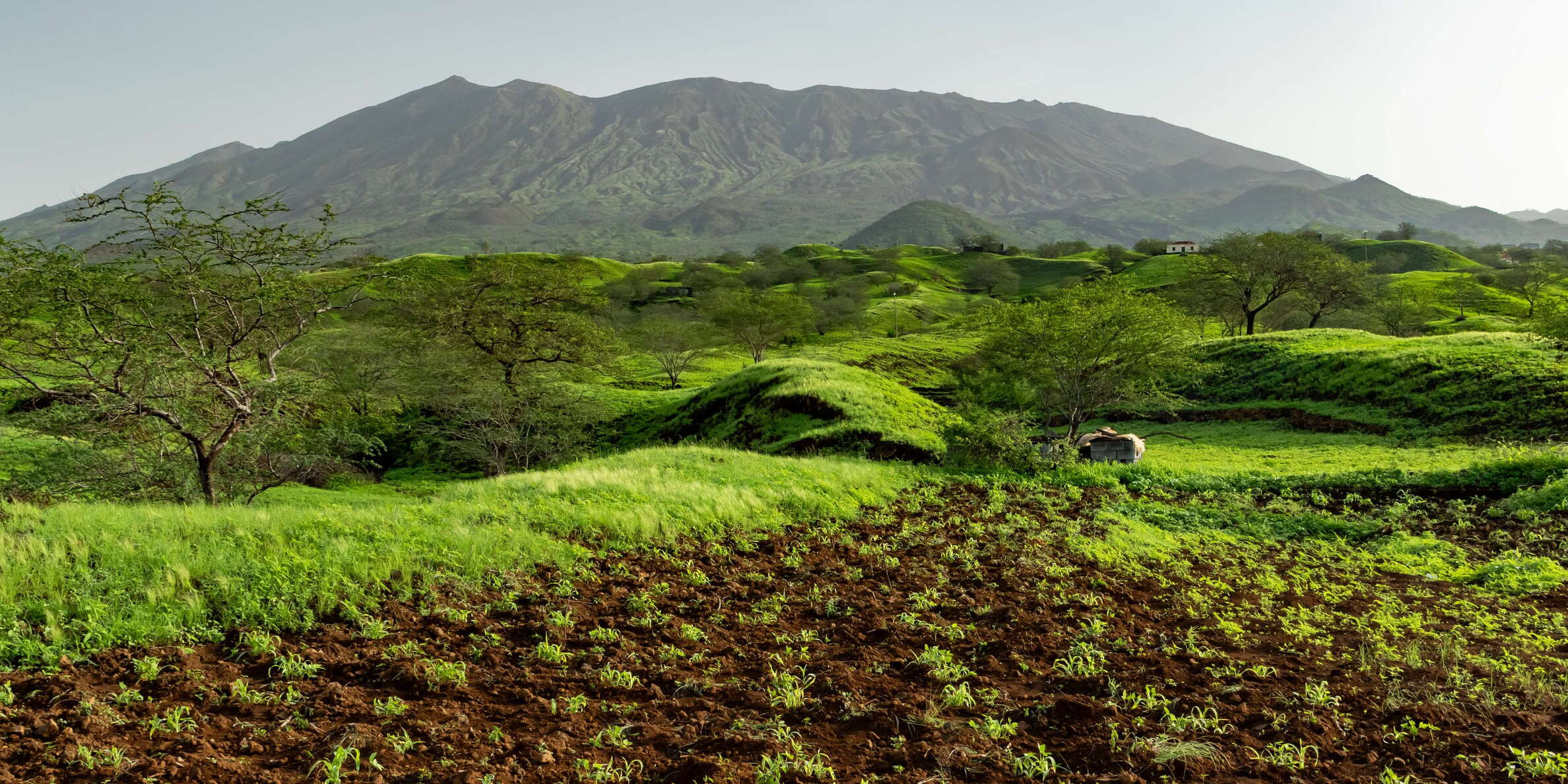 Fogo | Southern slopes with Bordeira