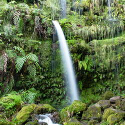 Madeira