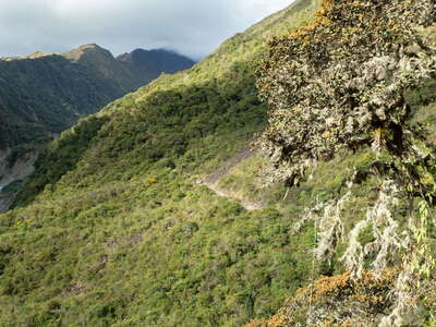 Cordillera Vilcabamba | Quebrada Humantay