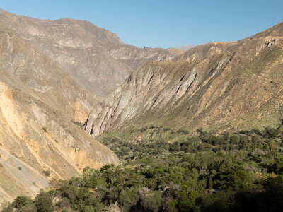 Cañón del Colca | Oasis at the valley bottom