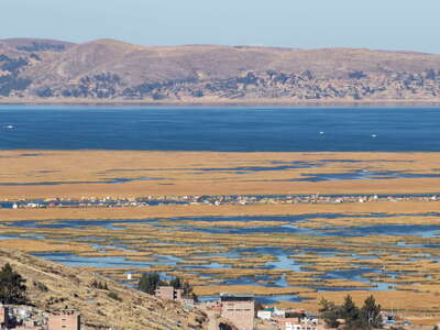 Lago Titicaca | Bahía de Puno with reed belt