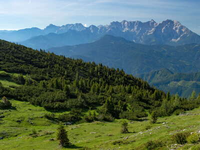 Hochobir | Treeline area and Kamnik Alps