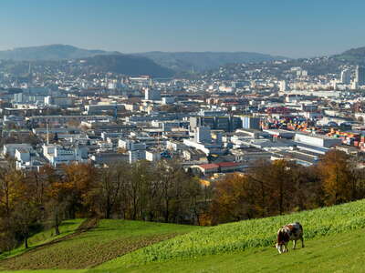 Linz | City and countryside