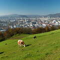 Linz | City and countryside