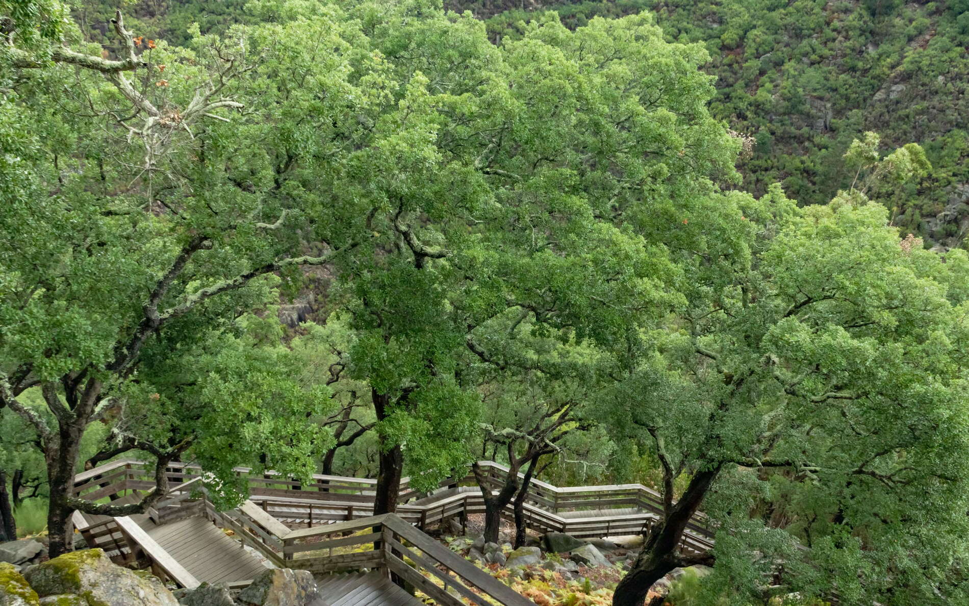 Arouca UNESCO Global Geopark | Valley of Rio Paiva