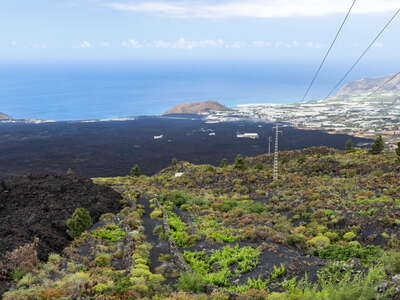 Lava from Volcán de Tajogaite