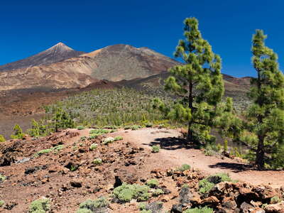 Montaña de Sámara with Pico del Teide and Pico Viejo