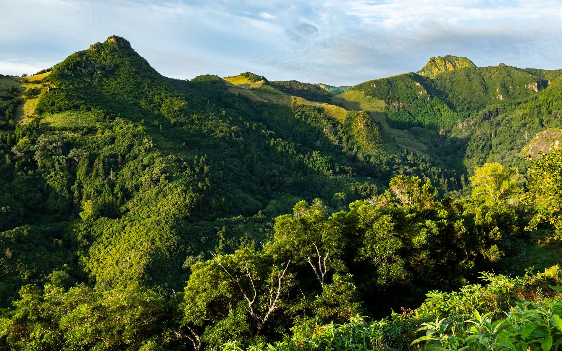 Flores | Northeast slopes and Pico da Sé