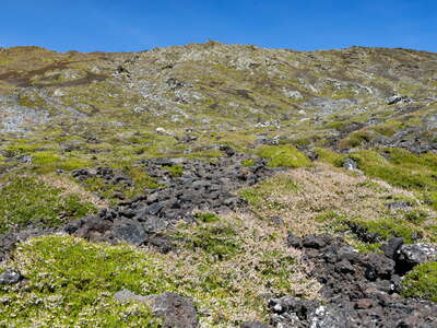 Montanha do Pico | Western slope with heathland