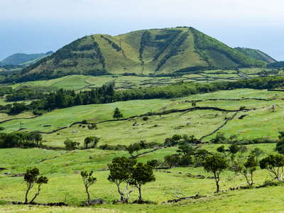 Eastern Pico | Cultural landscape with volcanic cone