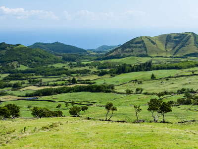 Eastern Pico | Cultural landscape with volcanic cones