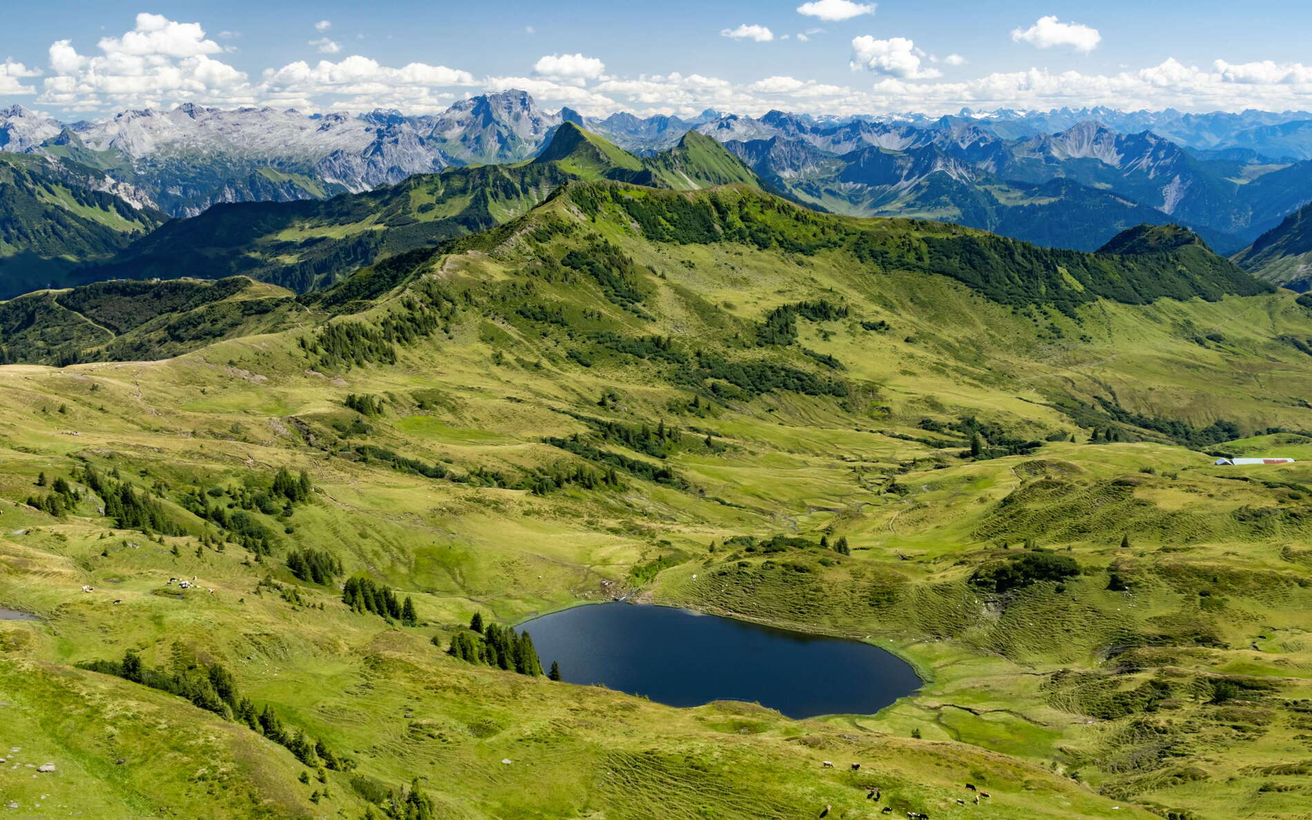 Damülser Berge with Sünser See and Lechquellengebirge