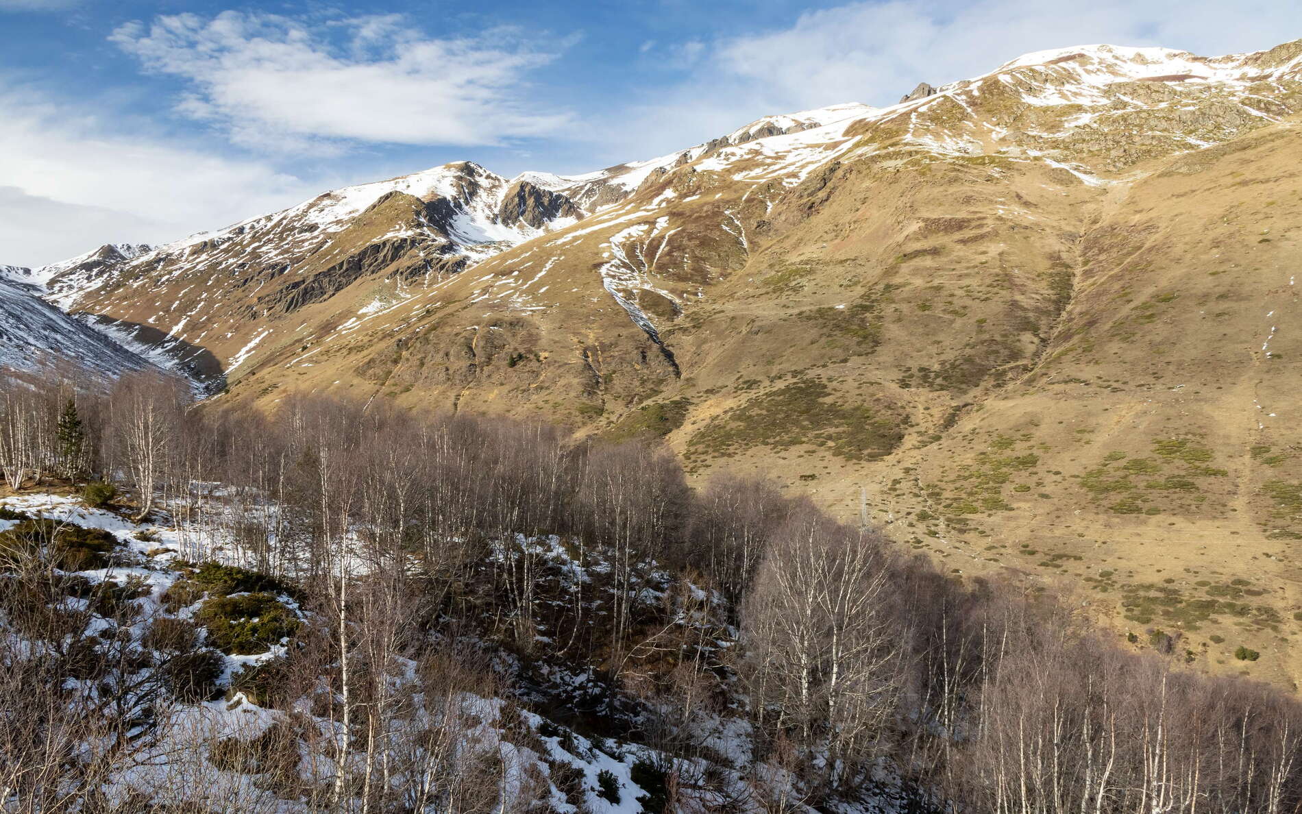 Pyrénées ariègoises | Treeline at Capcalera de l'Arieja