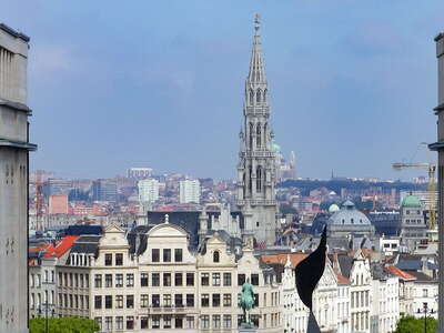 Bruxelles | City centre with Hôtel de Ville