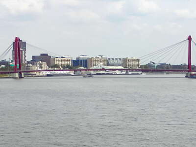 Rotterdam | Nieuwe Maas with Willemsbrug