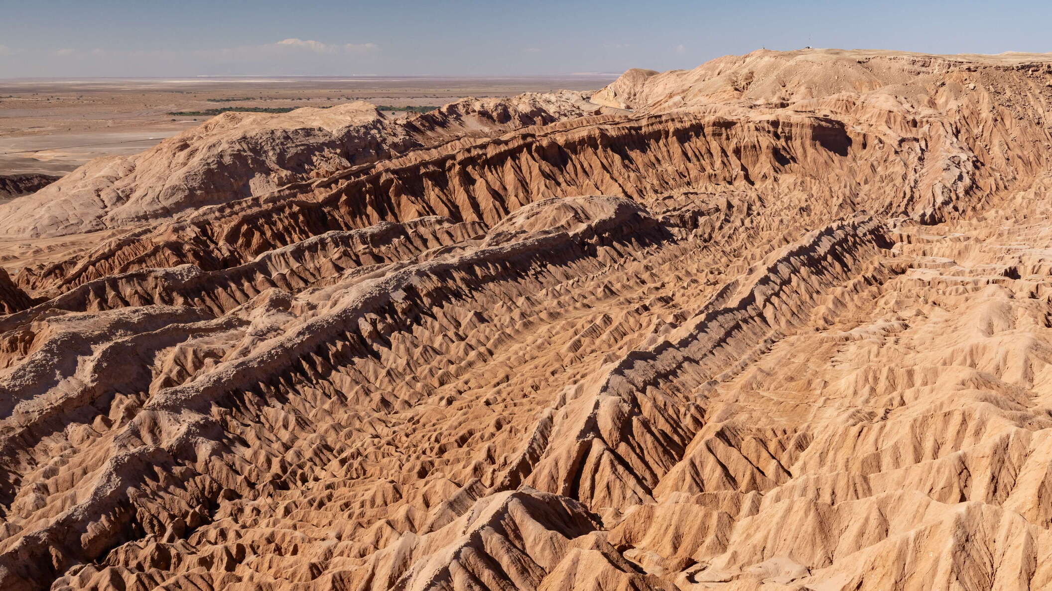 Cordillera de la Sal | Folded rocks