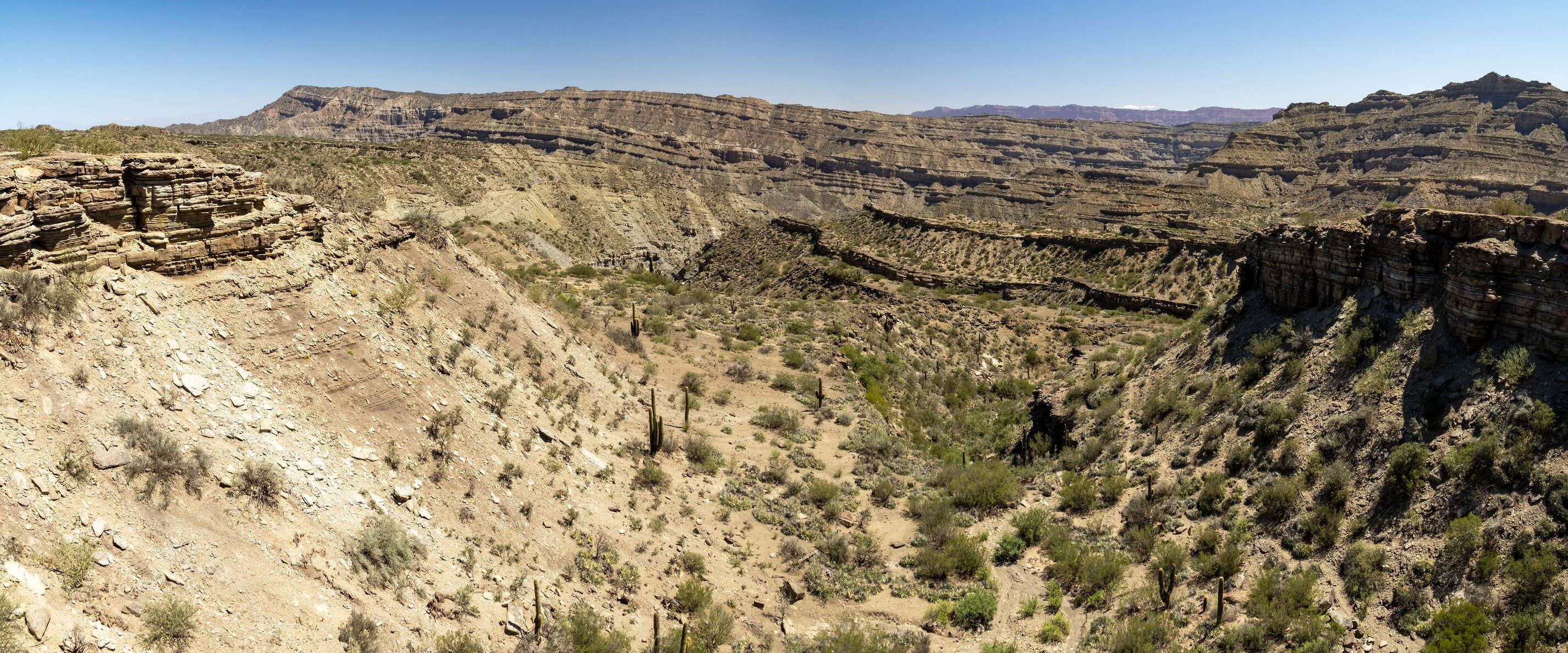 Parque Provincial Ischigualasto