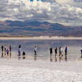Salinas Grandes with students
